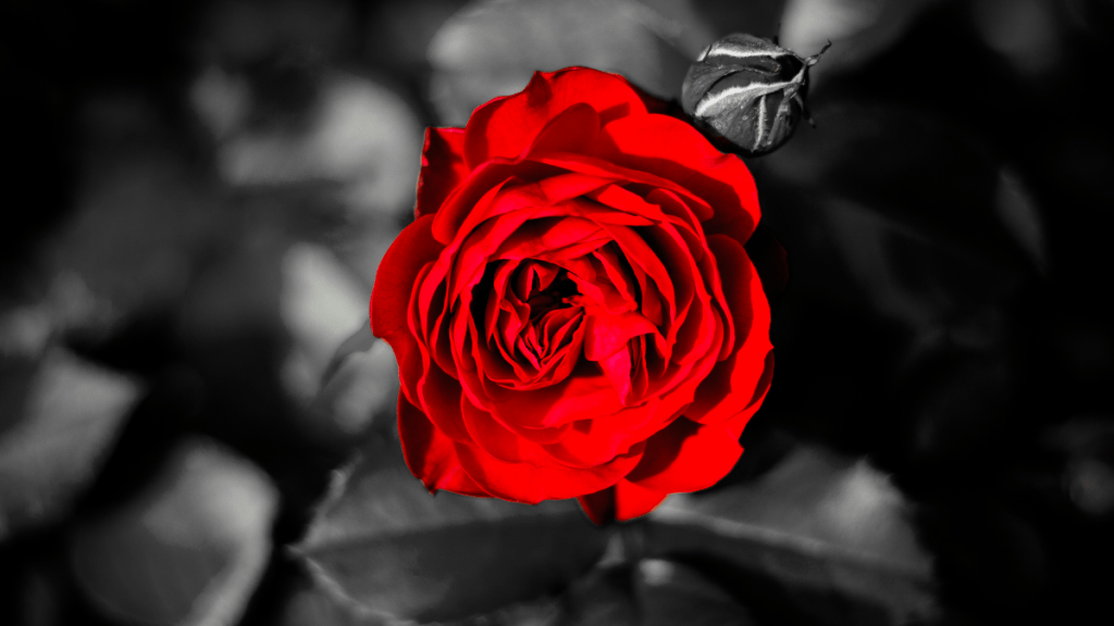 Single & Unbothered, I&nbsp;think?